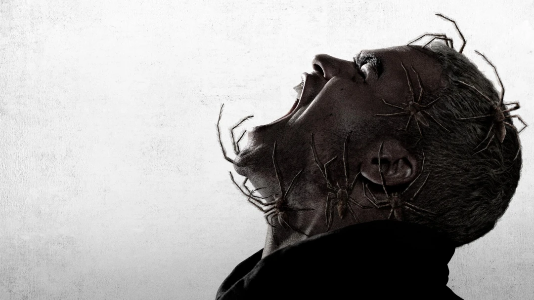 Spiders - Ihr Biss ist der Tod