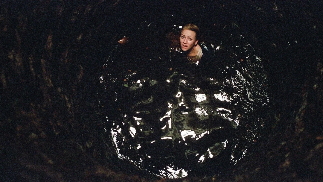 The Ring 2
