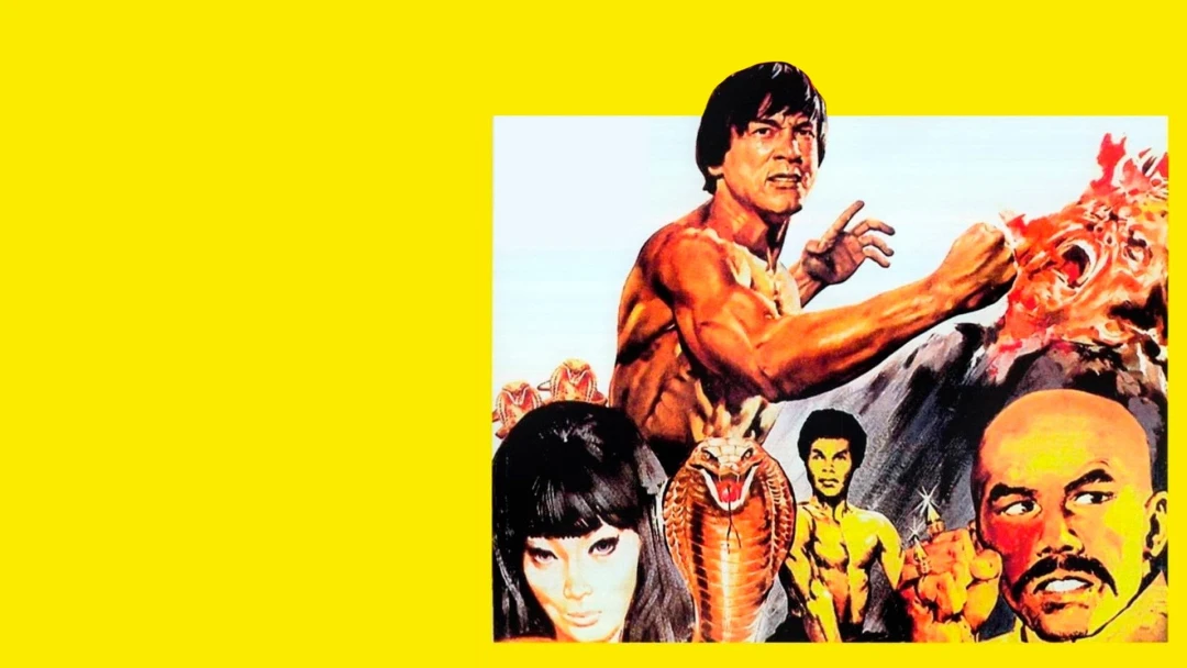 Kung-fu kölyök
