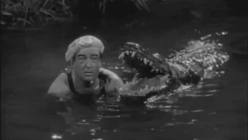 Abbott a Costello: Afrika volá