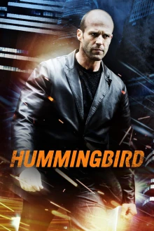 Çılgın Joe