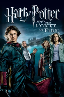 Harry Potter a Ohnivý pohár