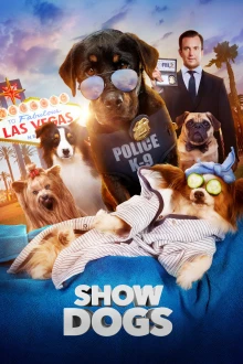 Chiens sous enquête
