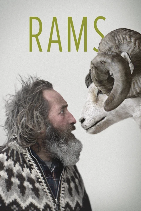 Rams - Storia di due fratelli e otto pecore